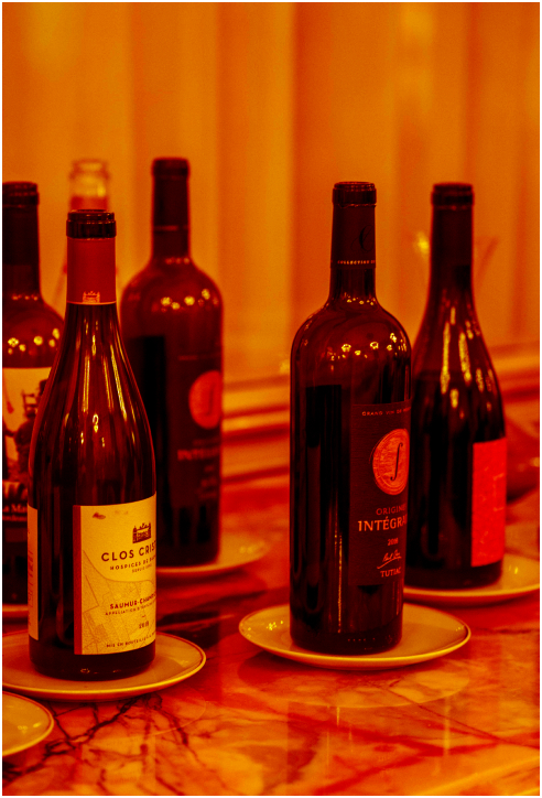 Terra nostrum photo vin